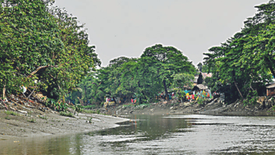 Kolkata: NGT asks PCB to ensure Adi Ganga rejuvenation