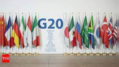 G-20 summit: 2 key meets, dinners, Rock Garden & Capitol visits in Chandigarh