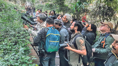 Kolkata: Students, walkers get birding tips at Lake