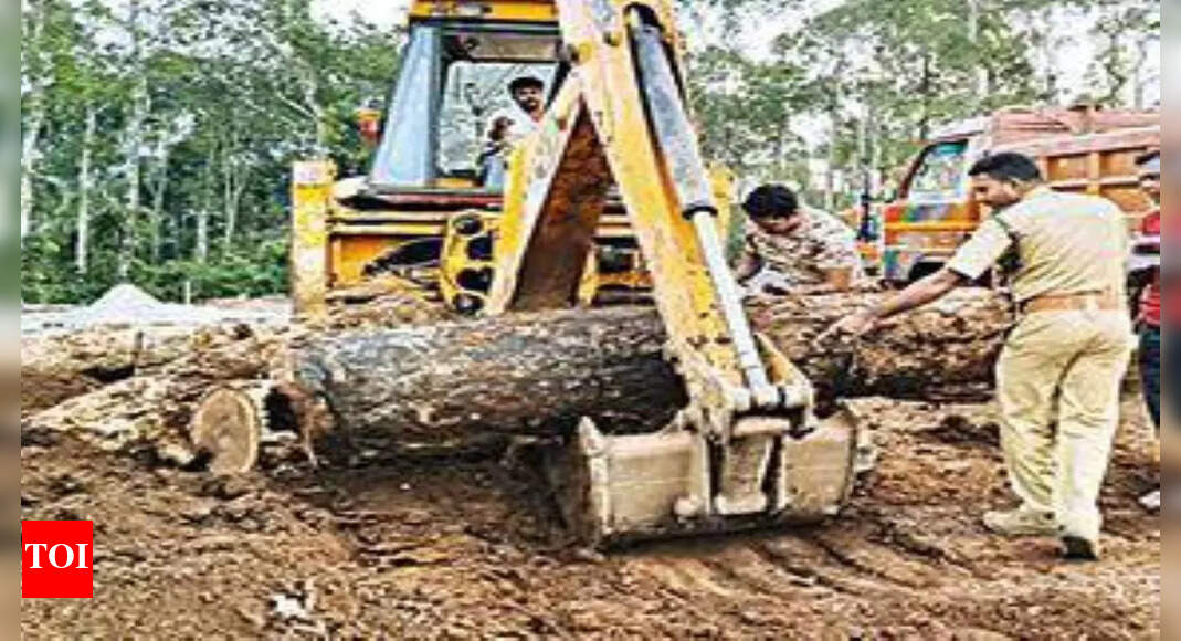 Idukki: Case Aginst Panchayat Member After 13 Logs Of Chopped Rosewood ...
