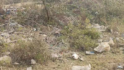 Noida: Drain silt, garbage and broken roads trouble Sector 3 residents