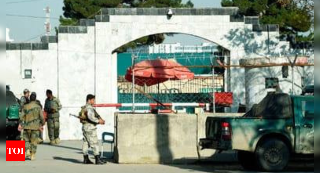 Afghanistan arrests ‘foreign IS member’ for Pakistan embassy attack – Times of India