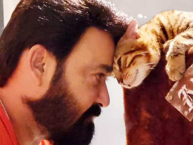 Mohanlal’s picture with his pet cat will make all the pet parents go ‘Awww’