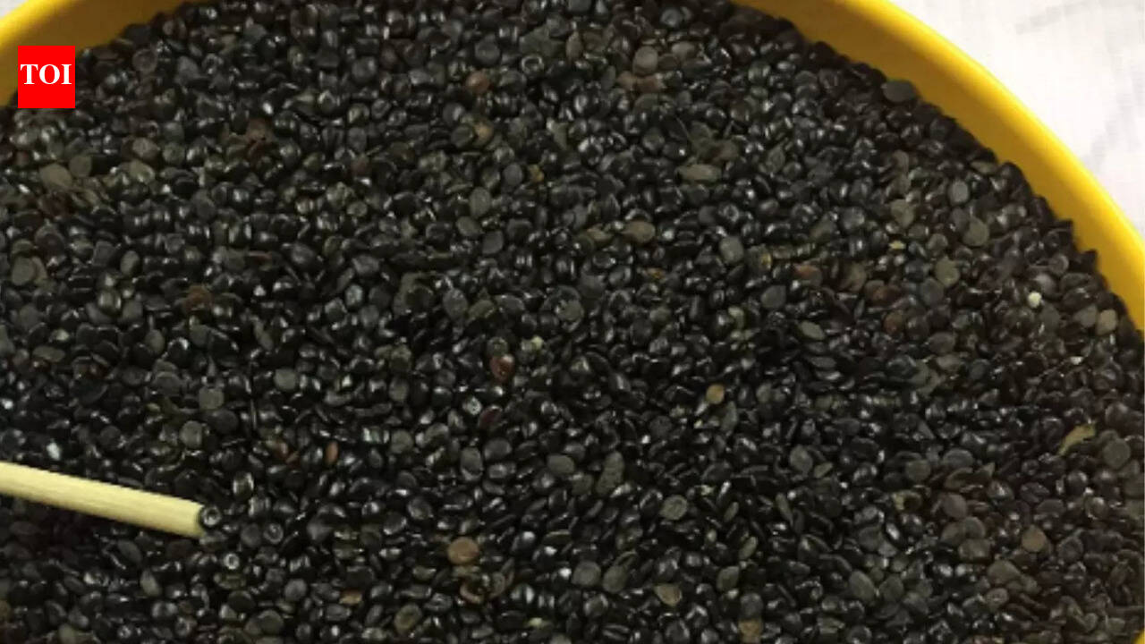 What are Chaksu Seeds, their uses and benefits | The Times of India