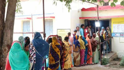 71.74 per cent voter turnout in Bhanupratappur by-poll in Chhattisgarh