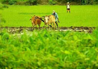 Need to design crop patterns as per agro climatic zone: Shripad