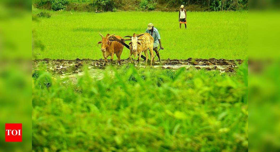 Need to design crop patterns as per agro climatic zone: Shripad Naik