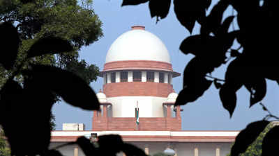 SC allows PIL seeking guidelines against conversion by fraud