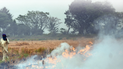 Stubble burning count down 31.5% from last year in Delhi’s neighbouring states