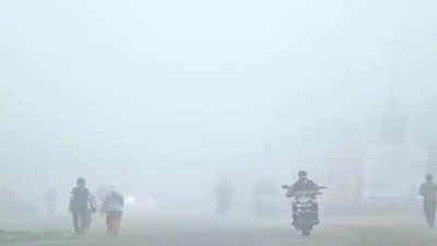 Cold conditions may return to Pune from mid-December: IMD