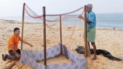 In Karnataka Kodi Beach is a turtle nesting spot; keep trawlers off: Activists