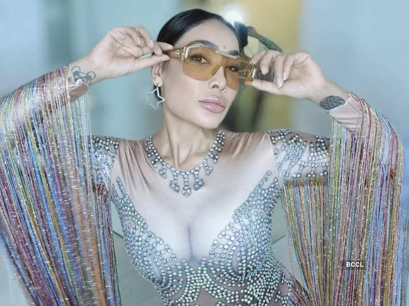 Exclusive: Bigg Boss 7 fame Sofia Hayat celebrates her birthday flaunting a sheer studded dress; says ‘birthdays are really special for me’