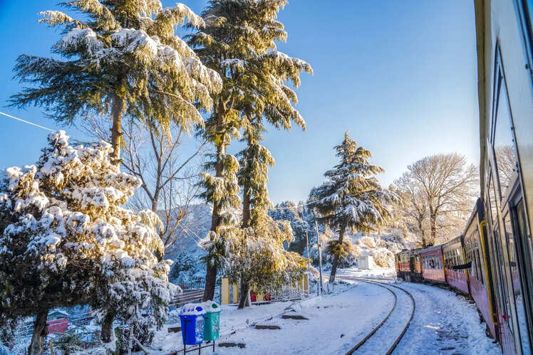 Shimla