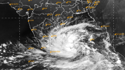 Cyclone forecast: 10 NDRF and SDRF teams kept ready, TN minister says