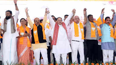 With Gujarat polls over, central BJP brass to turn focus on Karnataka