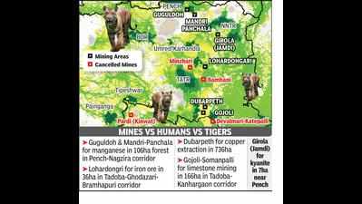 Six mines pose threat to tiger corridors in and around Tadoba