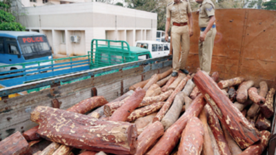 Red sanders logs worth Rs 97 crore seized this year; South Korea new hub