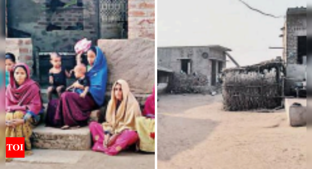खूनी सिलिकोसिस ने रानीधारा को युवा विधवाओं के गांव में बदल दिया |  जयपुर समाचार – टाइम्स ऑफ इंडिया