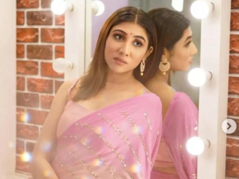 Netri Trivedi looks gorgeous in the latest video, watch here!
