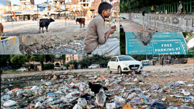Clean Noida: Authority faces an uphill task to meet December 20 deadline