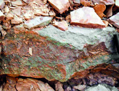 Scientists Stumble Upon Natural Alternative To Potassium Fertiliser