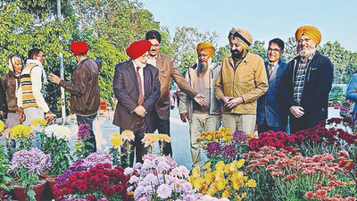 Chrysanthemum Show concludes at Punjab Agricultural University