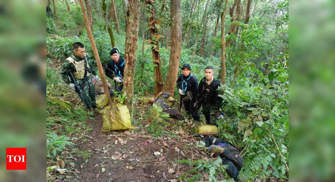 15 suspected drug smugglers killed by Thai border patrol – Times of India
