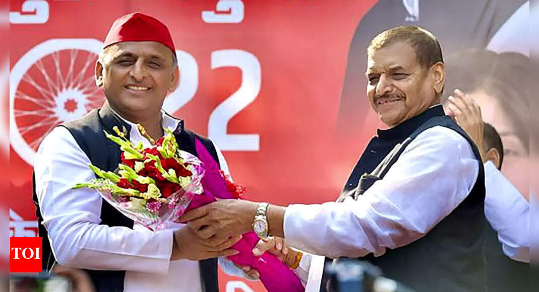 Akhilesh presents SP flag to PSPL founder Shivpal Singh Yadav ...