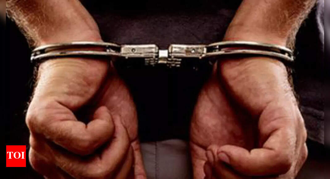 लंदन में नौकरी का झांसा देकर पुडुचेरी की महिला से 36 लाख रुपये ठगने वाला नाइजीरियाई नागरिक गिरफ्तार |  पुडुचेरी समाचार – टाइम्स ऑफ इंडिया