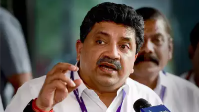 Tamil Nadu finance minister equates Raj Bhavan with special bench of court