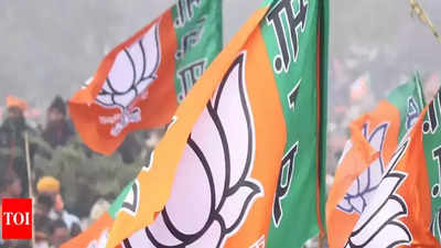 Delhi BJP overhaul in offing after MCD drubbing