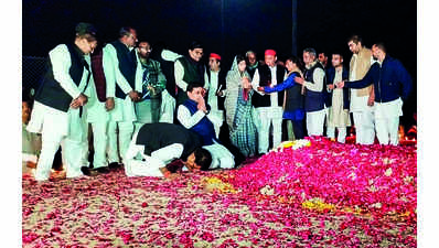 Tribute to Netaji by Mainpuri people, says Dimple Yadav after win in UP