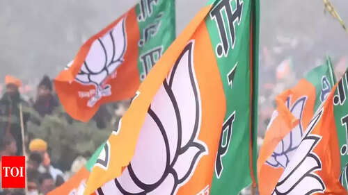 Lotus blooms bigger in tribal heartland in Gujarat