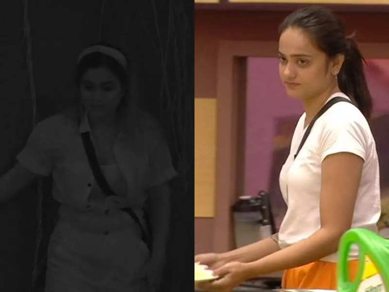 Bigg Boss Telugu 6 highlights, December 8: From housemates losing Rs. 1 lakh due to Sri Satya to Inaya's spooky experience in dark room; major events at a glance
