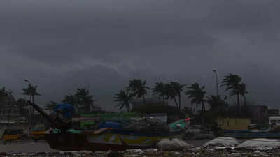 Tamil Nadu Cyclone | Chennai Rain News: Holiday Declared For Schools ...