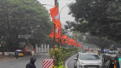 Chennai cyclone: Annamalai asks BJP cadre to remove flagpoles from road median