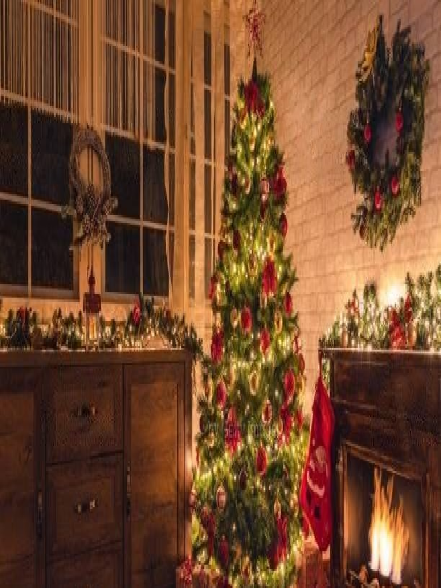 Facts about Christmas Tree that will make your holidays extra magical Times Now