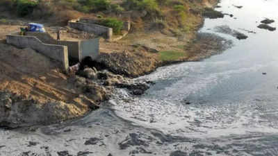 Gujarat HC to take up Sabarmati pollution issue again
