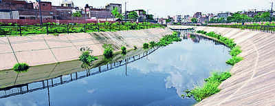 Dravyavati stink to go in next 10-12 days: JDA