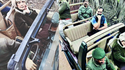 Rajasthan: Gandhis enjoy safari in Ranthambore