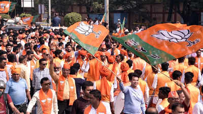 After huge victory, BJP faces problem of plenty
