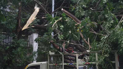Cyclone Mandous: Power supply in Chennai will be restored before noon, says electricity minister V Senthilbalaji