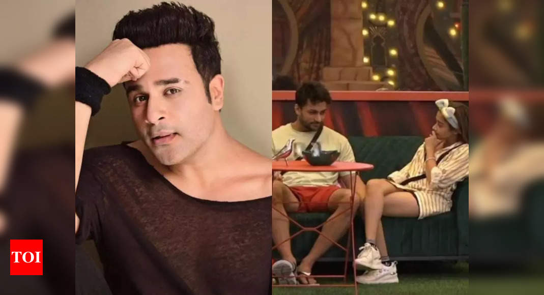 Bigg Boss 16: Krushna Abhishek On Shalin Bhanot Ditching Tina Datta ...