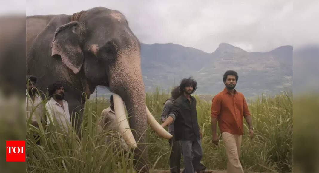 Ratha Saatchi Movie Review 60 Photos - Moonagedaydream.film