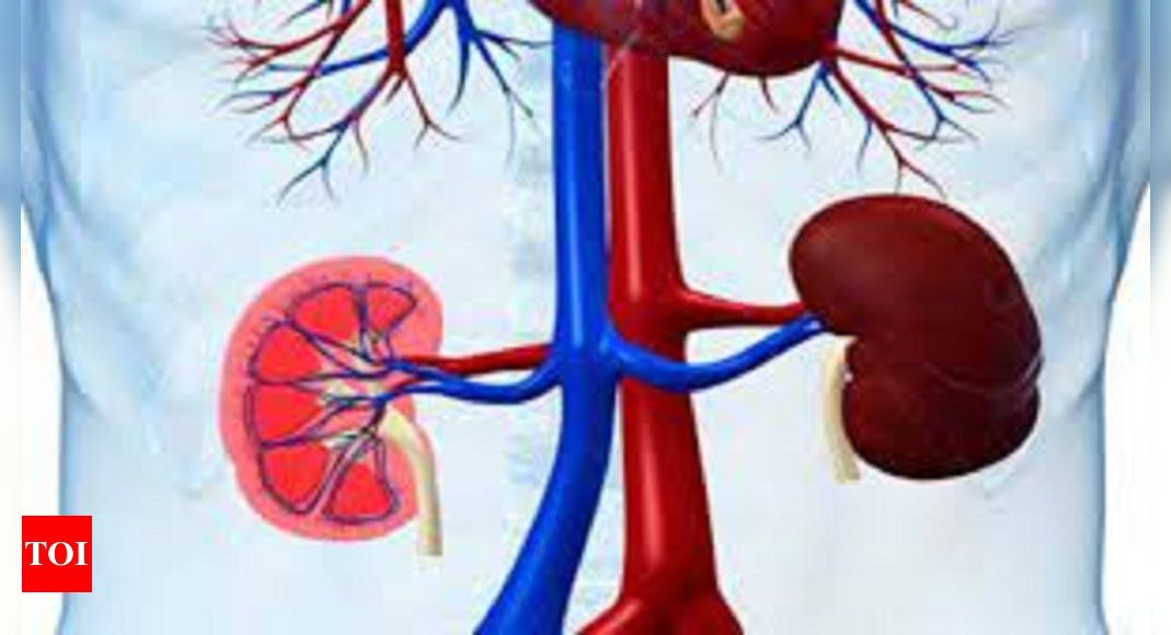 in-tamil-nadu-husband-donates-kidney-to-spouse-despite-difference-in