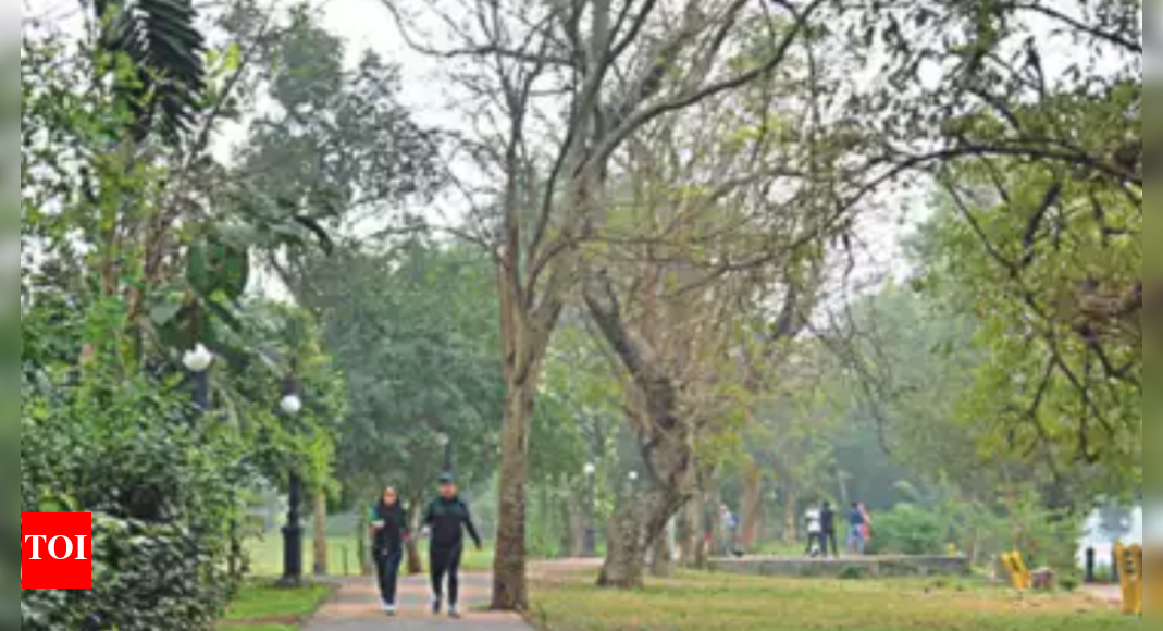 वार्ड कमेटियां चली गईं, गुरुग्राम में 400 पार्क रखरखाव के लिए आरडब्ल्यूए को सौंपे गए  गुड़गांव समाचार – टाइम्स ऑफ इंडिया