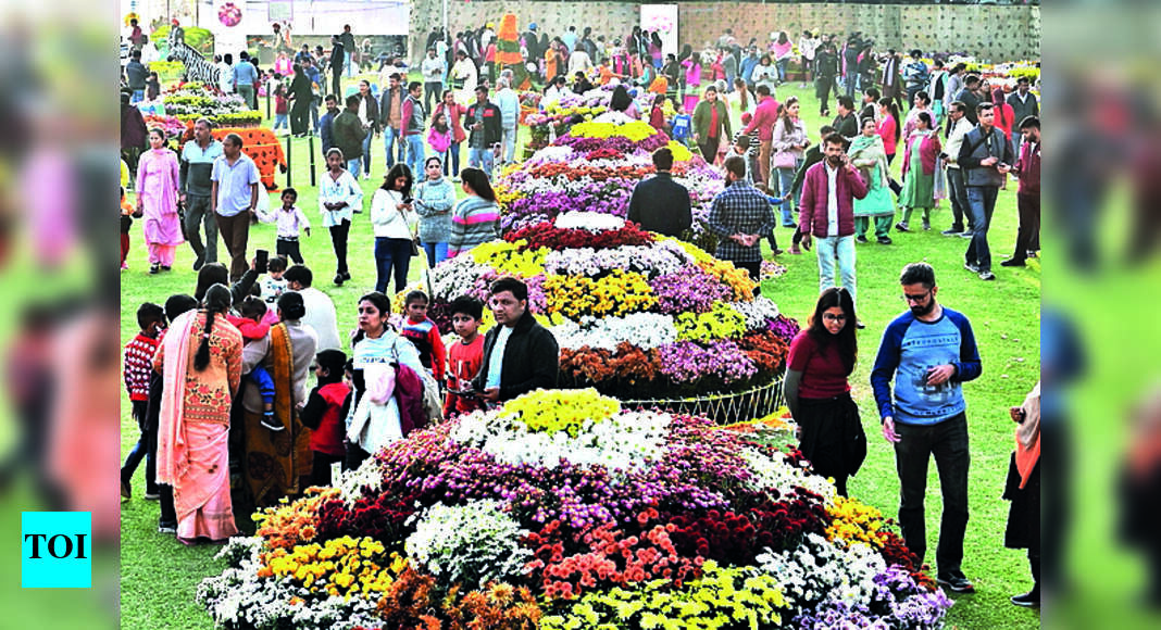 People Experience Power Of Flowers Chandigarh News Times of India