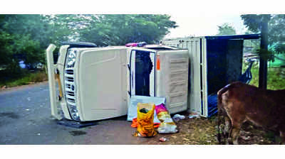 Cattle transporters pelt stones at cops; police fire a round
