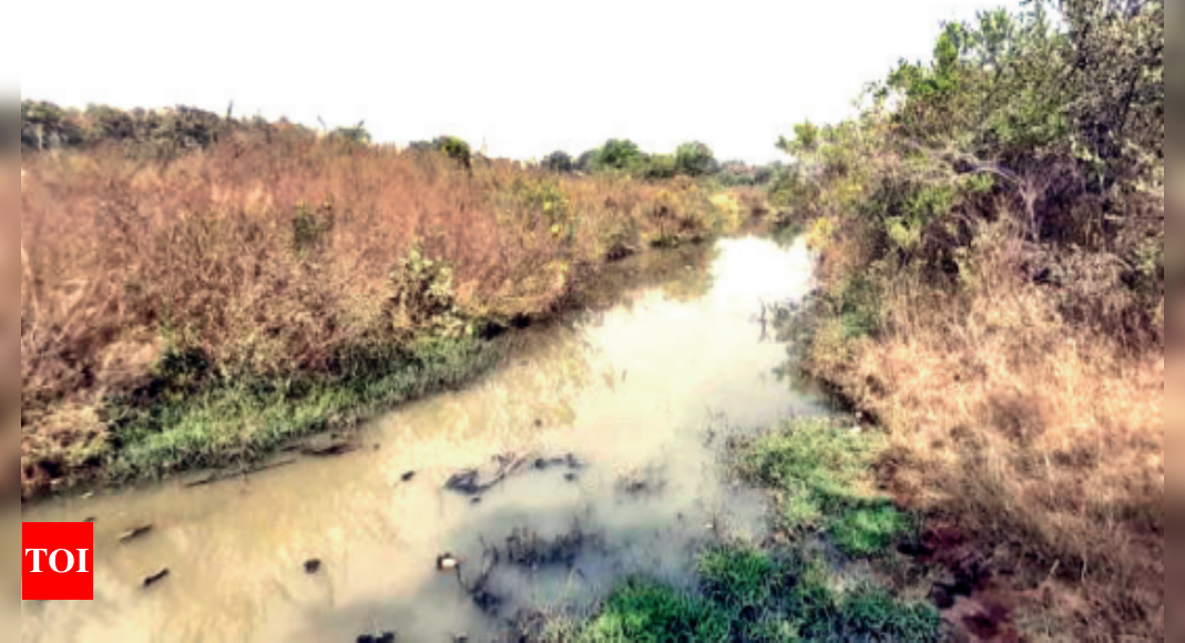 tellapur-tellapur-s-wallowing-drainage-lines-turn-3-lakes-into-sewage