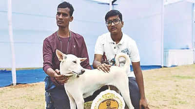 Indian breed steals spotlight at dog show